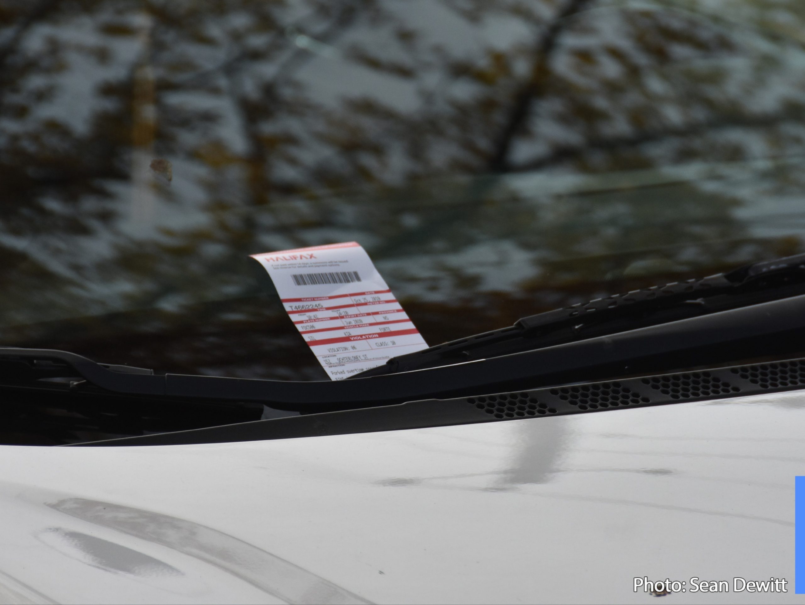 Public Service Announcement Municipality Lifts Enforcement of Overnight Winter Parking Ban