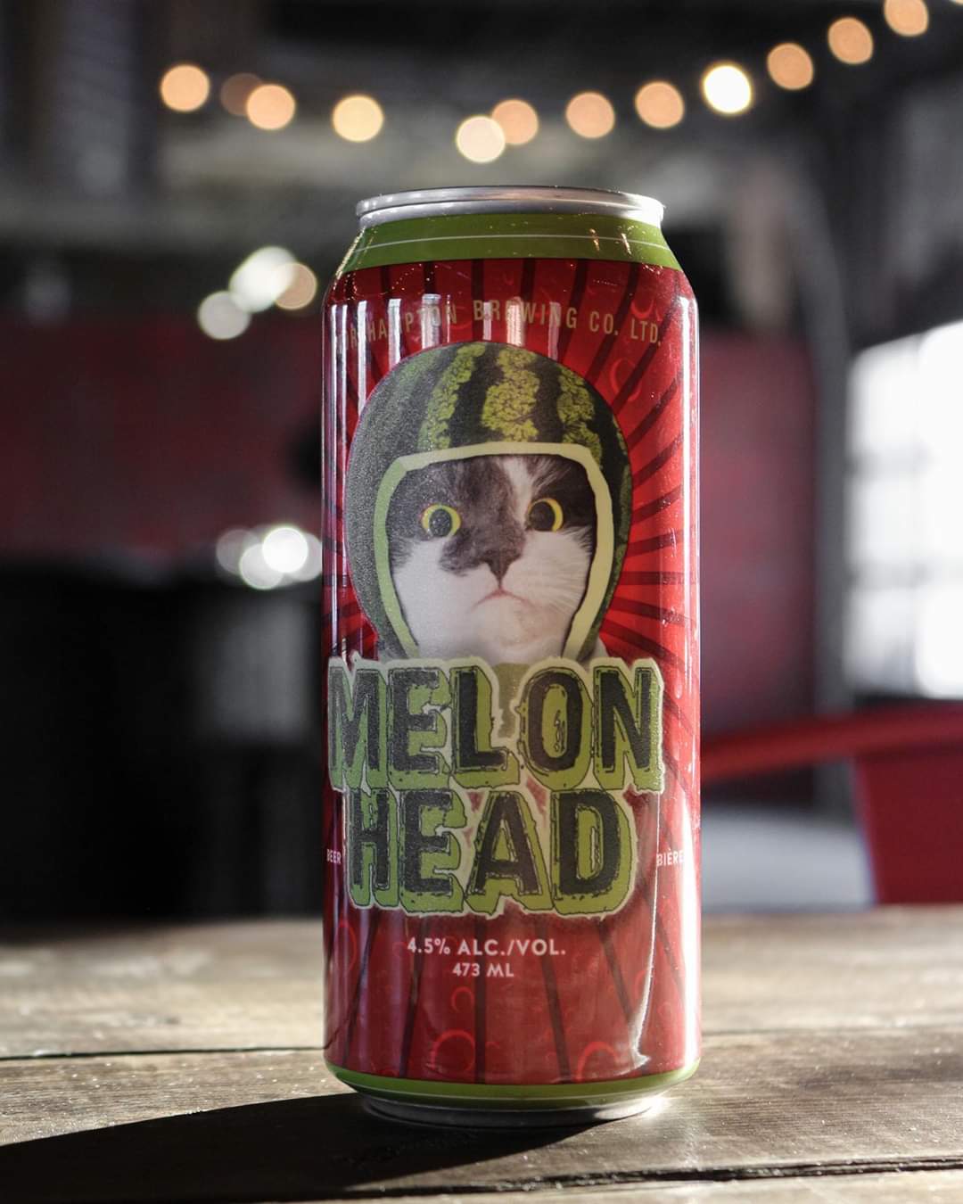 Want your rescue kitty to be the next face of Picaroons Brewing Company Melonhead can?