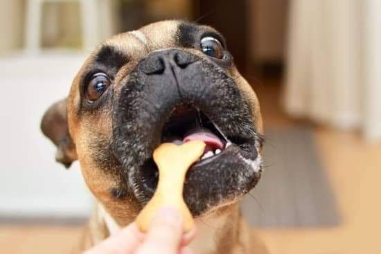 Help save an animal by doing something sweet!