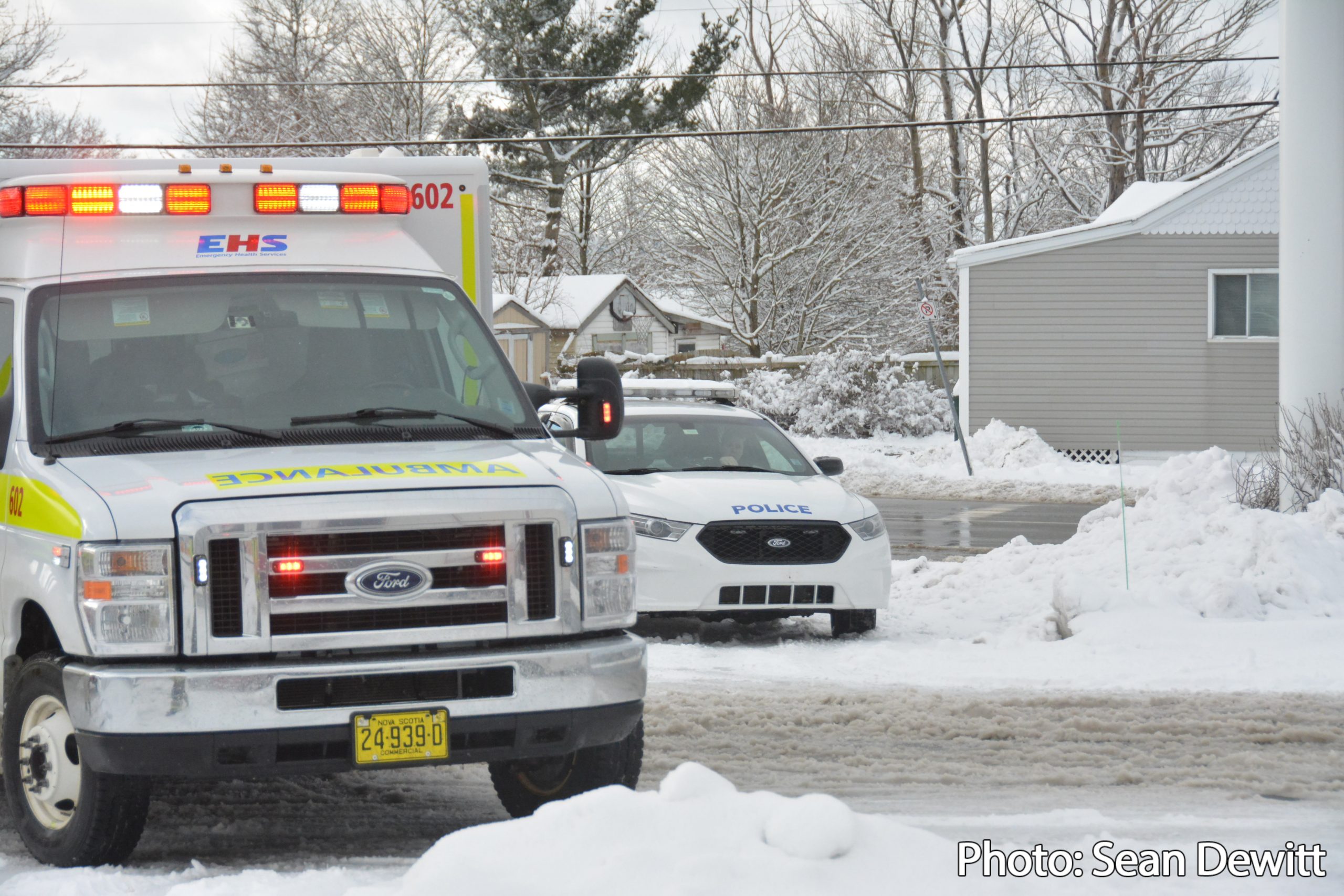 HRP February vehicle/pedestrian collision statistics