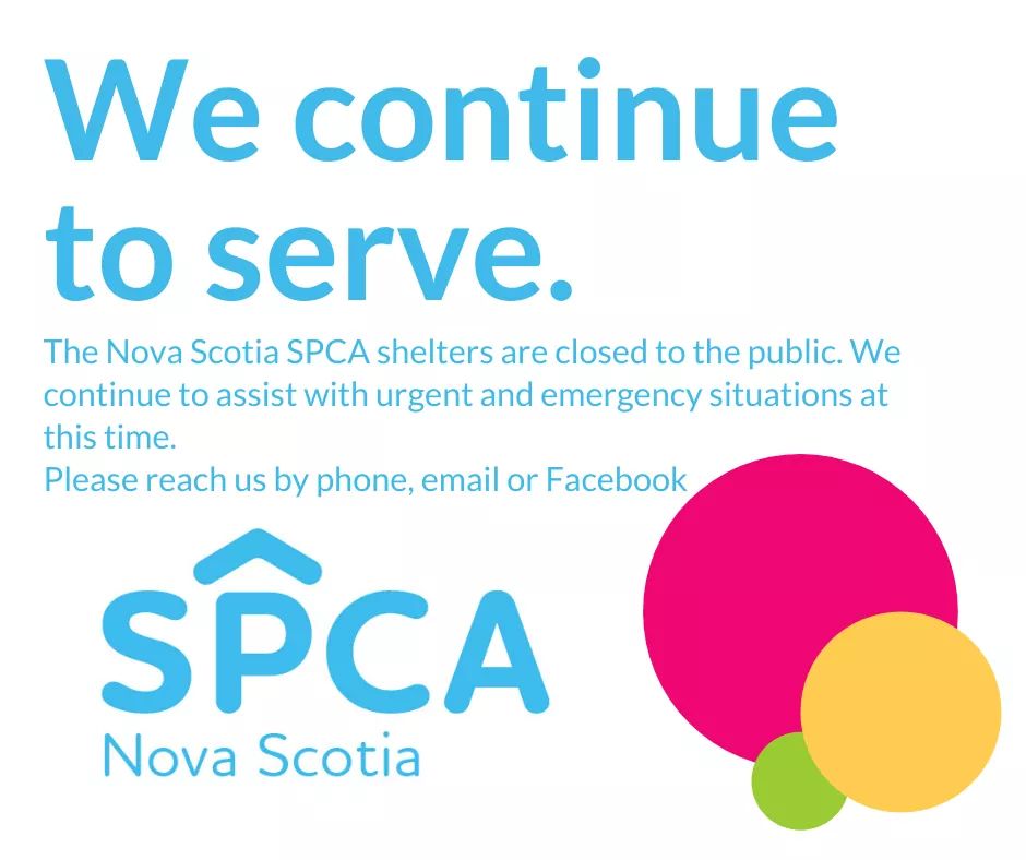 The Dartmouth SPCA will continue to operate with a core group of essential staff to assist and accept animals in urgent and emergency situations during this time.