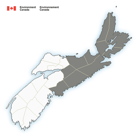 (Ended) A wintery mix is expected for Thursday into Friday, triggering a special weather statement via Environment Canada.