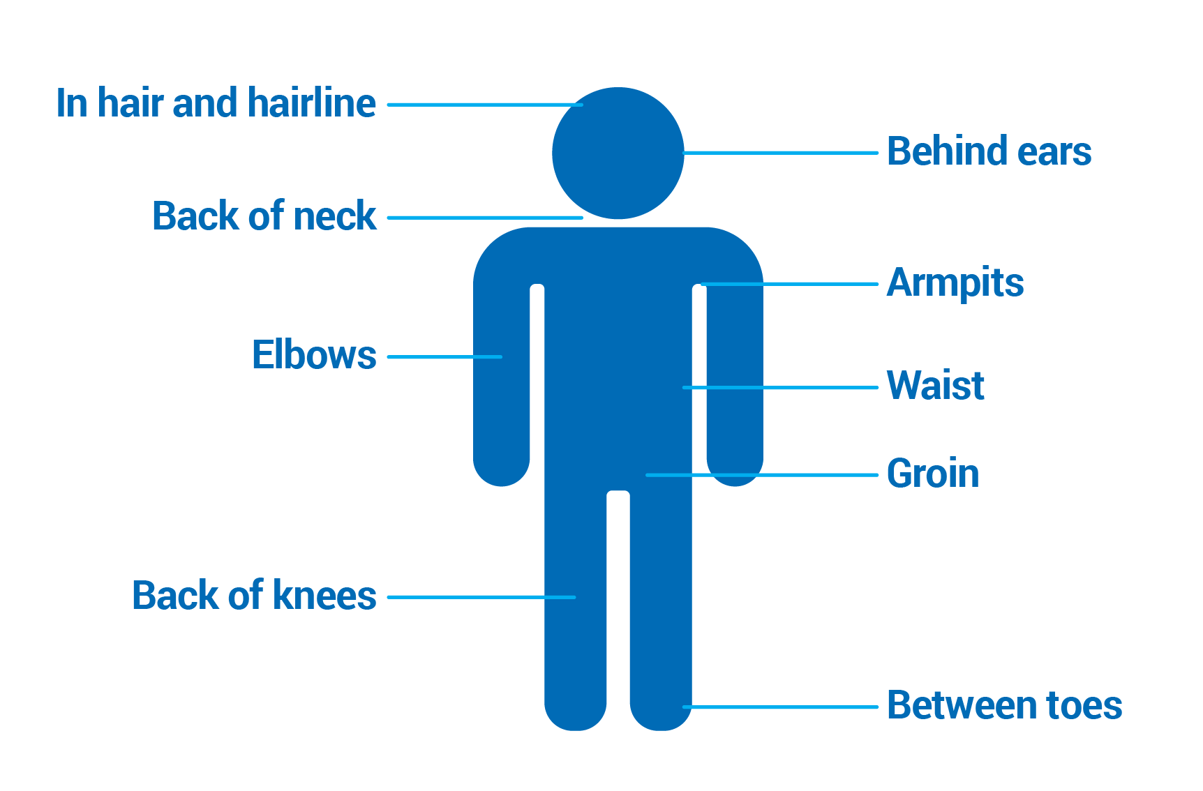 Tick safety in Nova Scotia