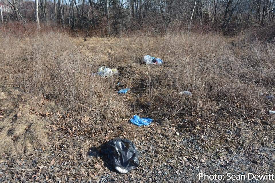 Annual spring cleanup & maintenance program underway​