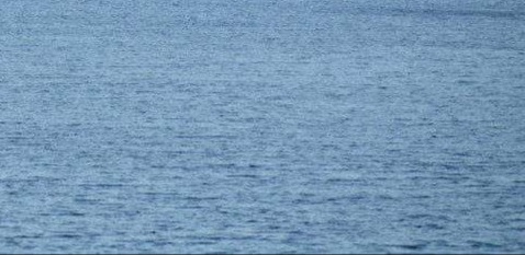 Woman rescued from water thanks to quick action by first responders