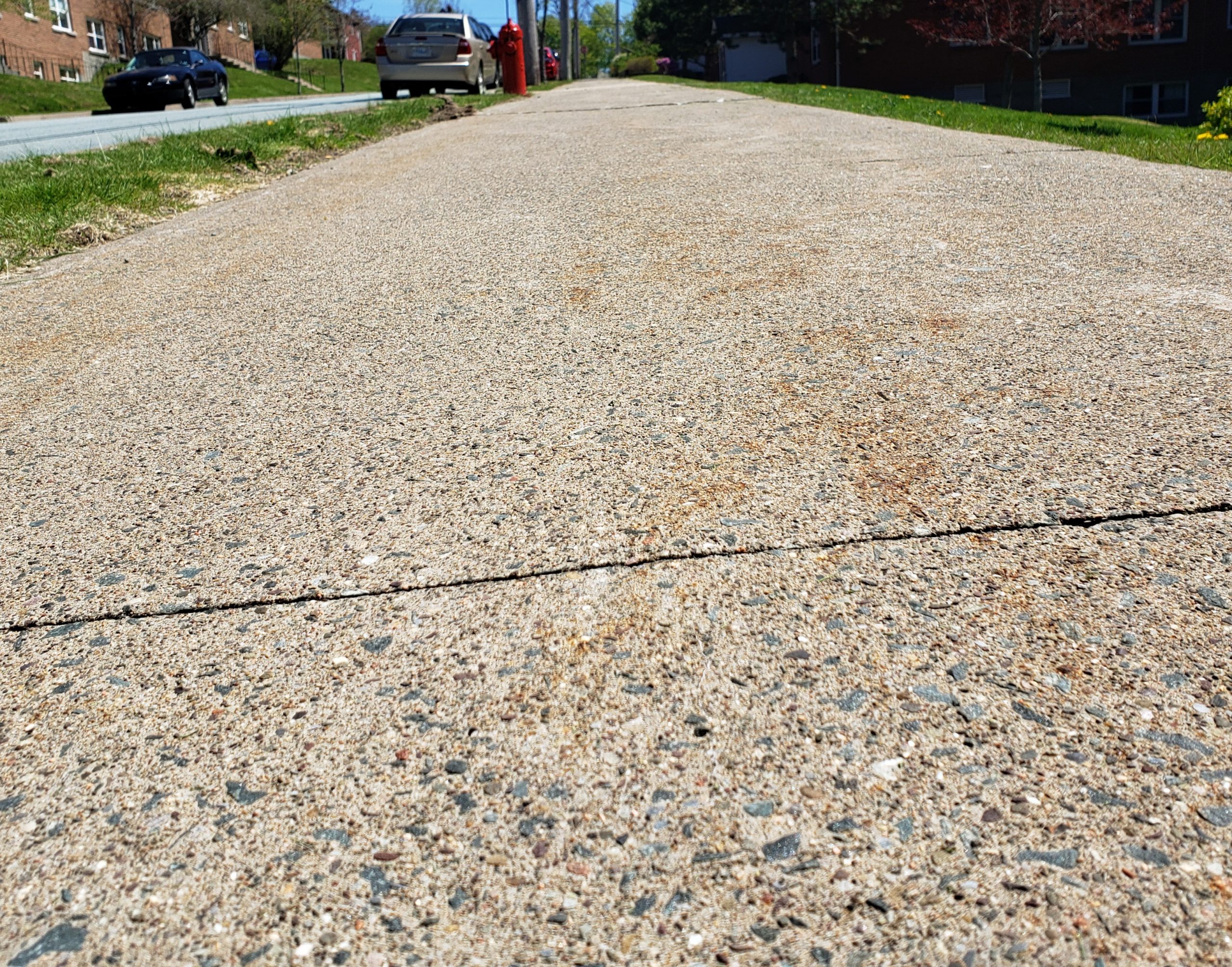 Response to COVID-19: Halifax Mobility Response – Streets and Spaces