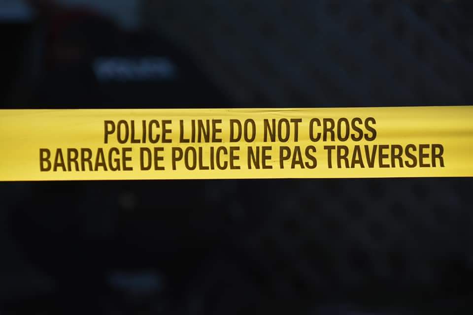 RCMP investigate fatal dog attack in Middle Musquodoboit