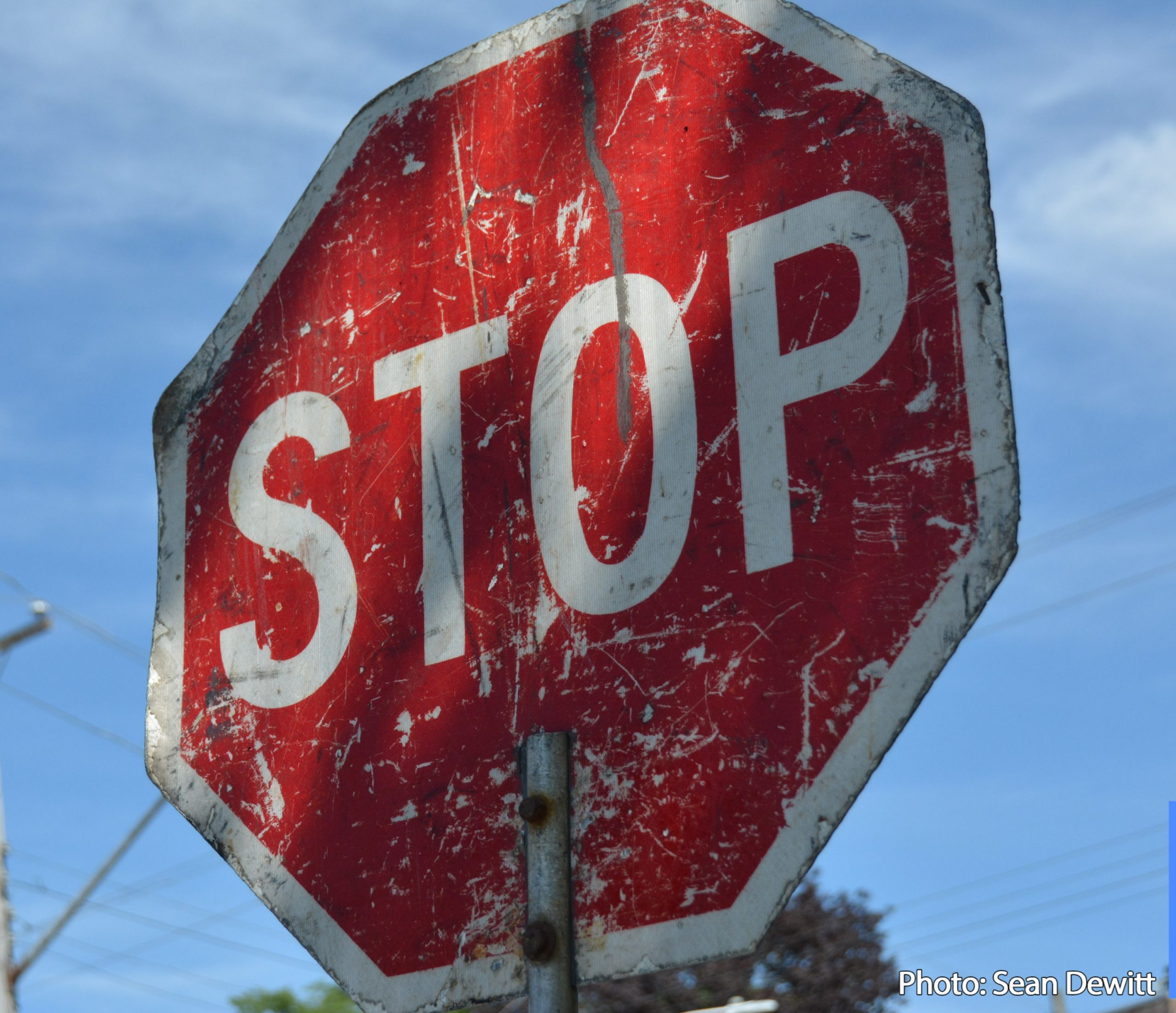 Untitled WordPress Article #4878