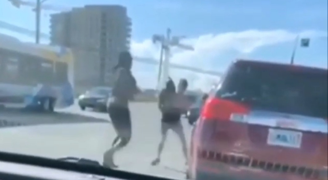 Police investigate physical altercation and mistreatment of dog ​