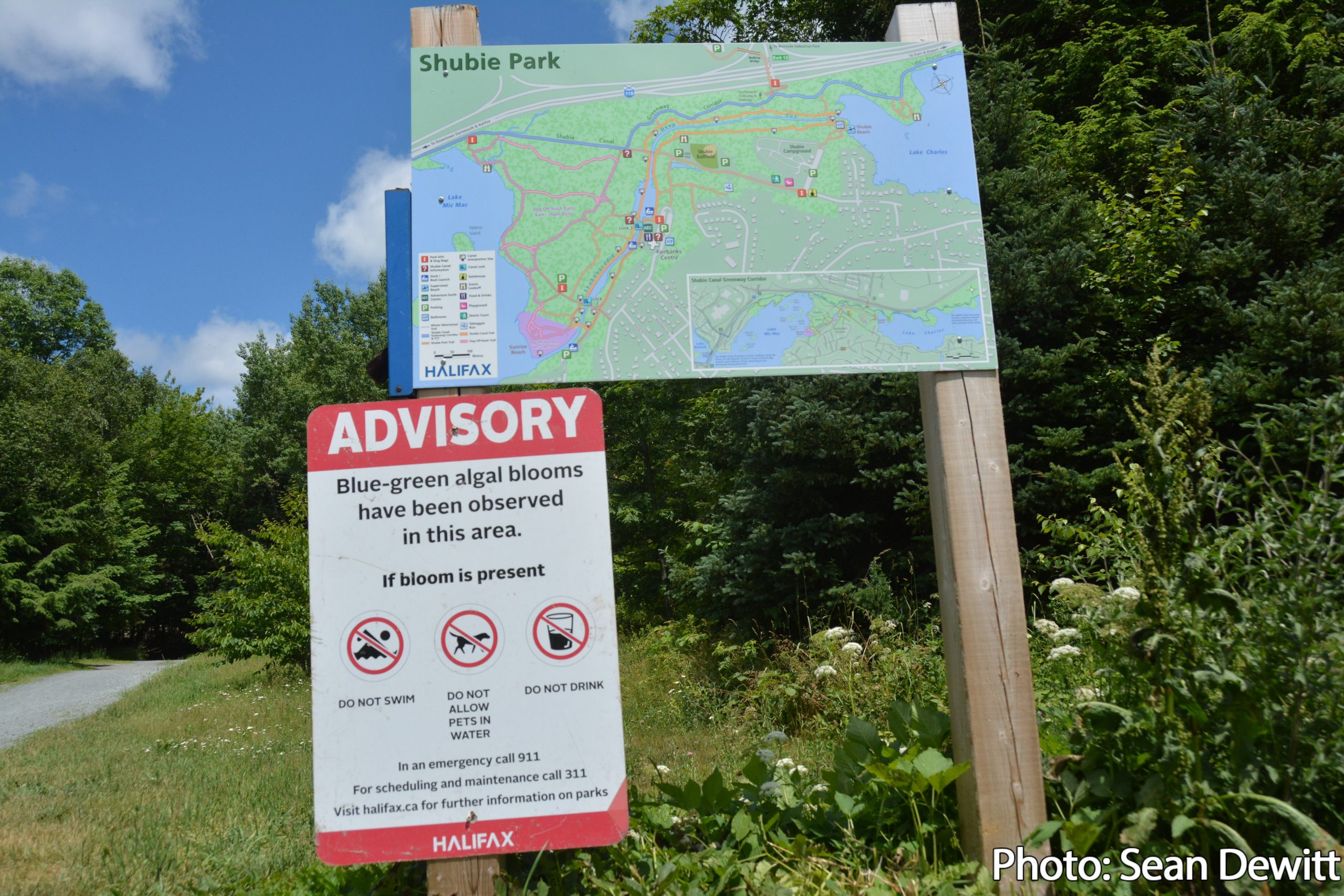 Risk advisory in effect for Shubie Canal pond due to possible blue-green algae bloom
