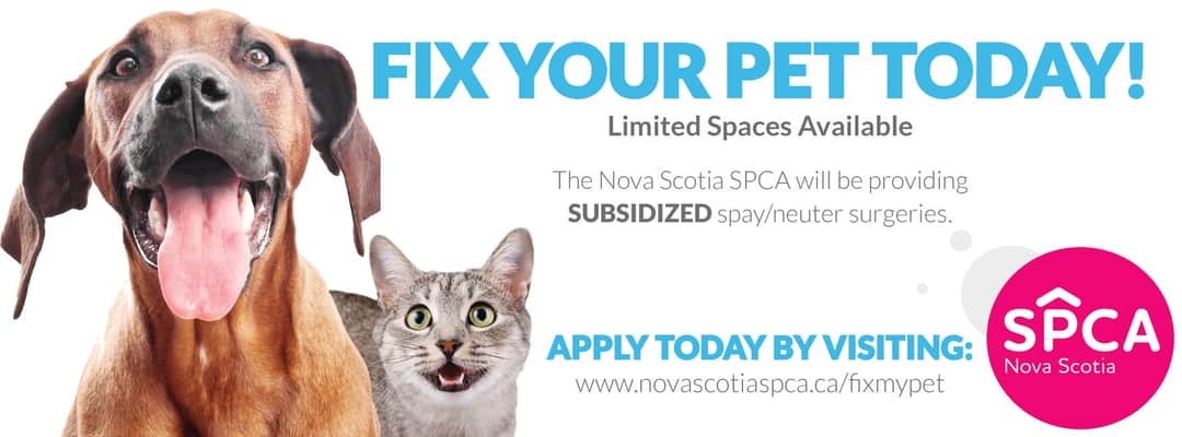 Have you been waiting to get your pet fixed? Are you on a reduced or fixed income? We can help!