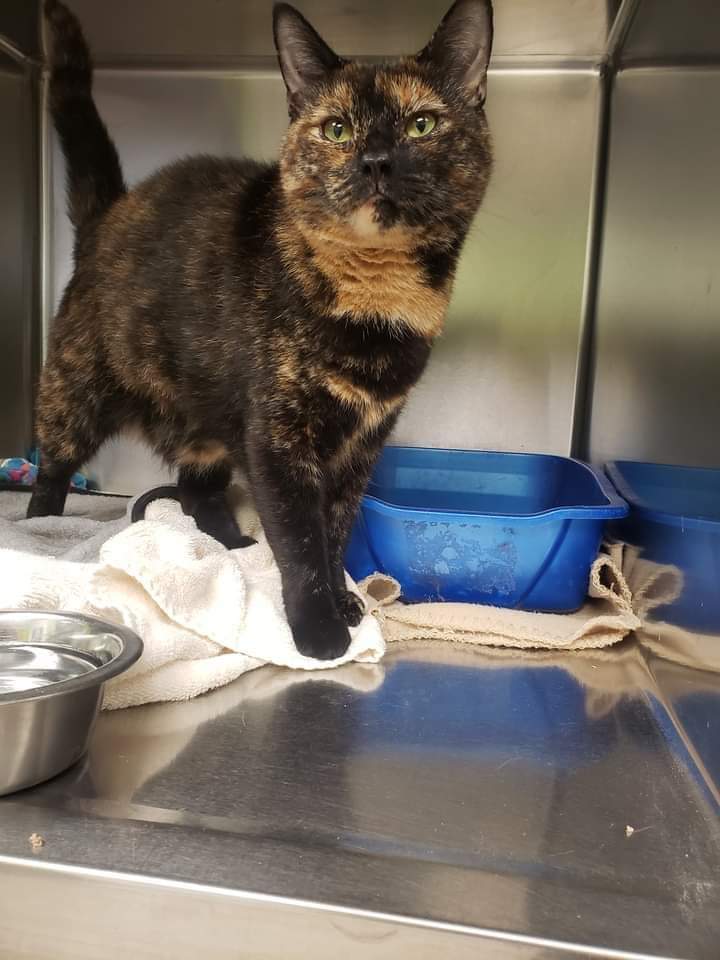 NS SPCA: If you are able to donate needed items , please feel free to drop them off!