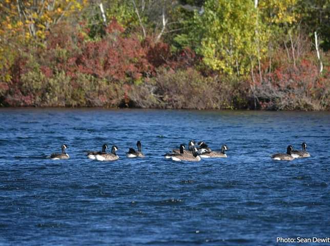 Nova Scotians and Maritimers Encouraged to Keep Rediscovering Nova Scotia This Fall
