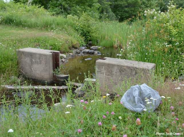 Single-use plastic bag ban starts in October