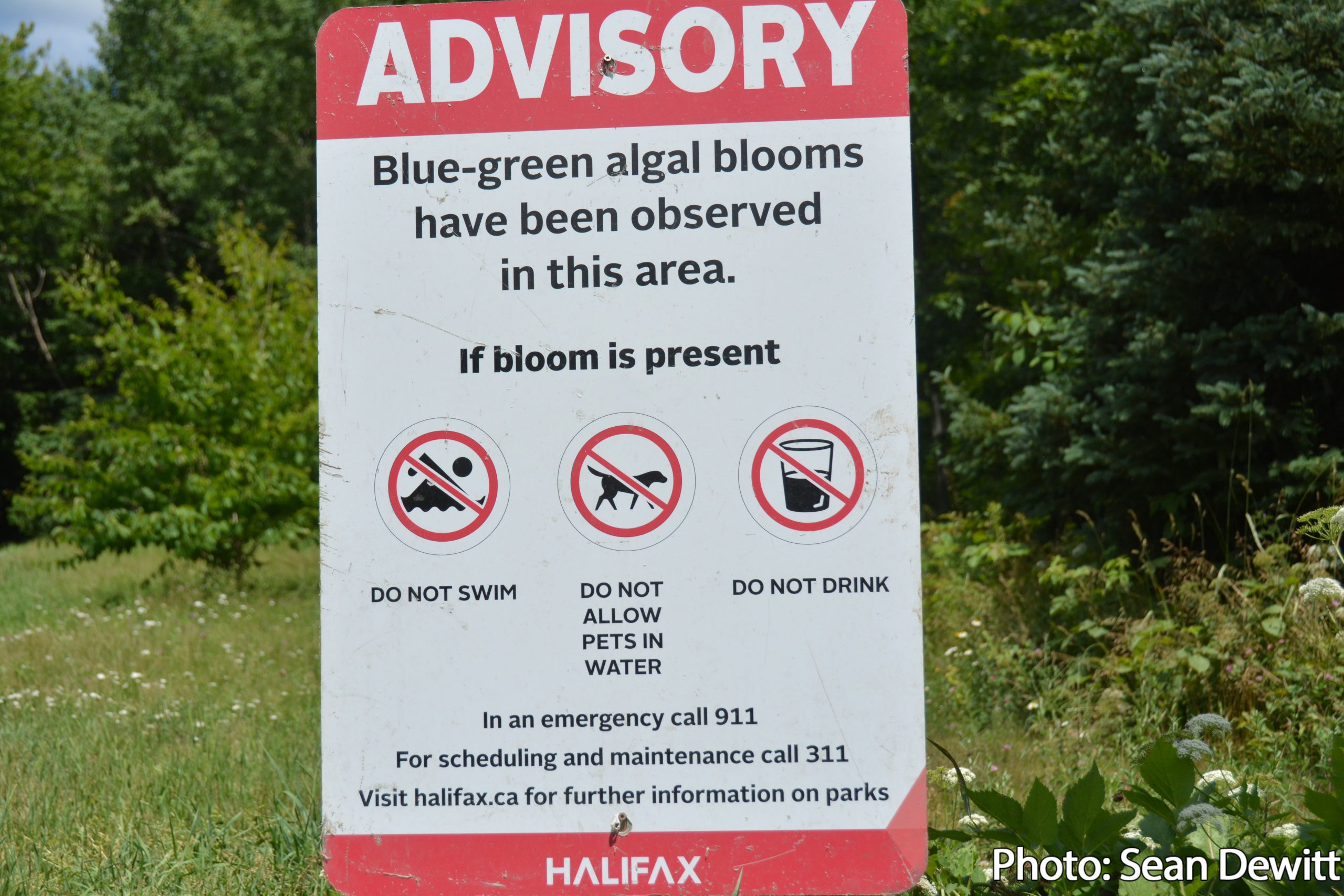 Risk advisory for Shubie Canal pond has been lifted