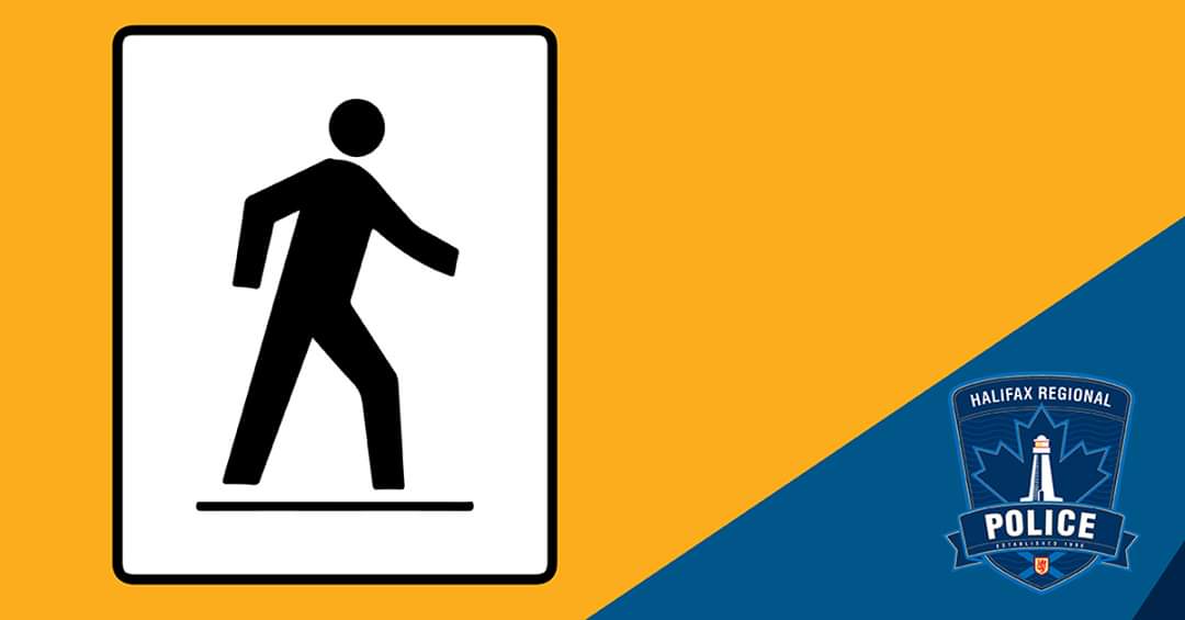 August vehicle/pedestrian collision statistics