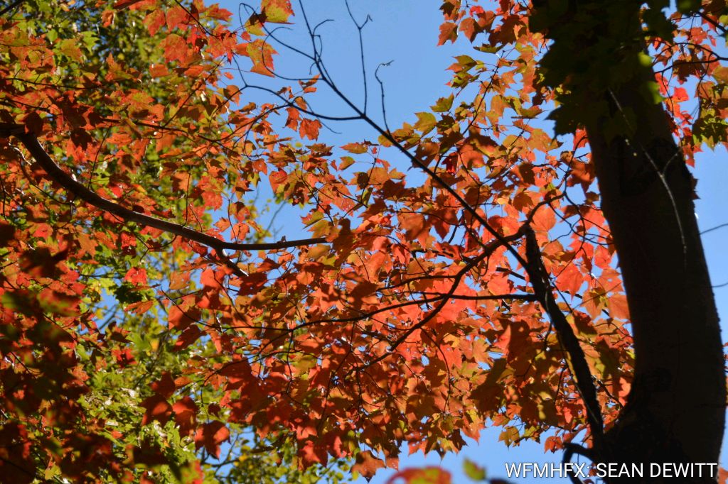 Greater Land Protection Across Nova Scotia