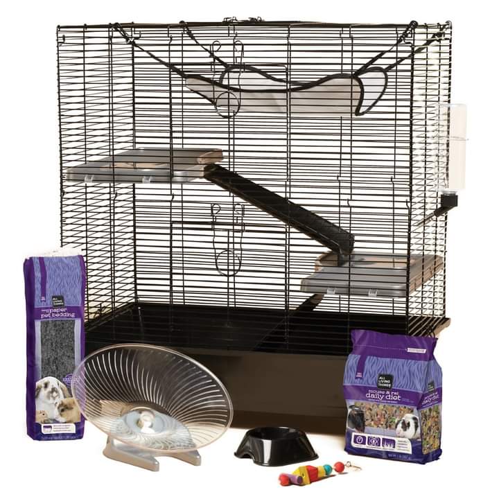 The Dartmouth SPCA is looking for a suitable rat cages for some little ones they have