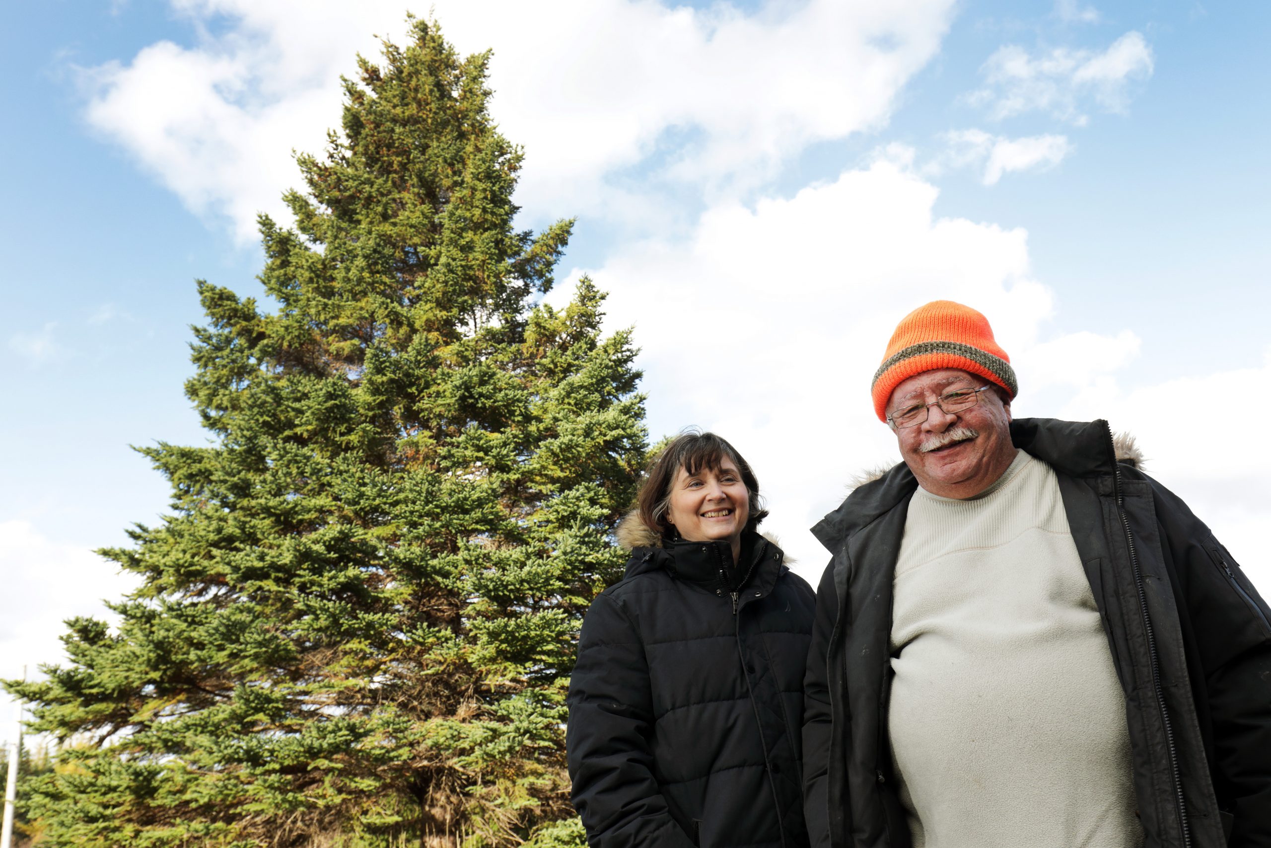 Tree for Boston Dedicated to Frontline Health-Care Workers