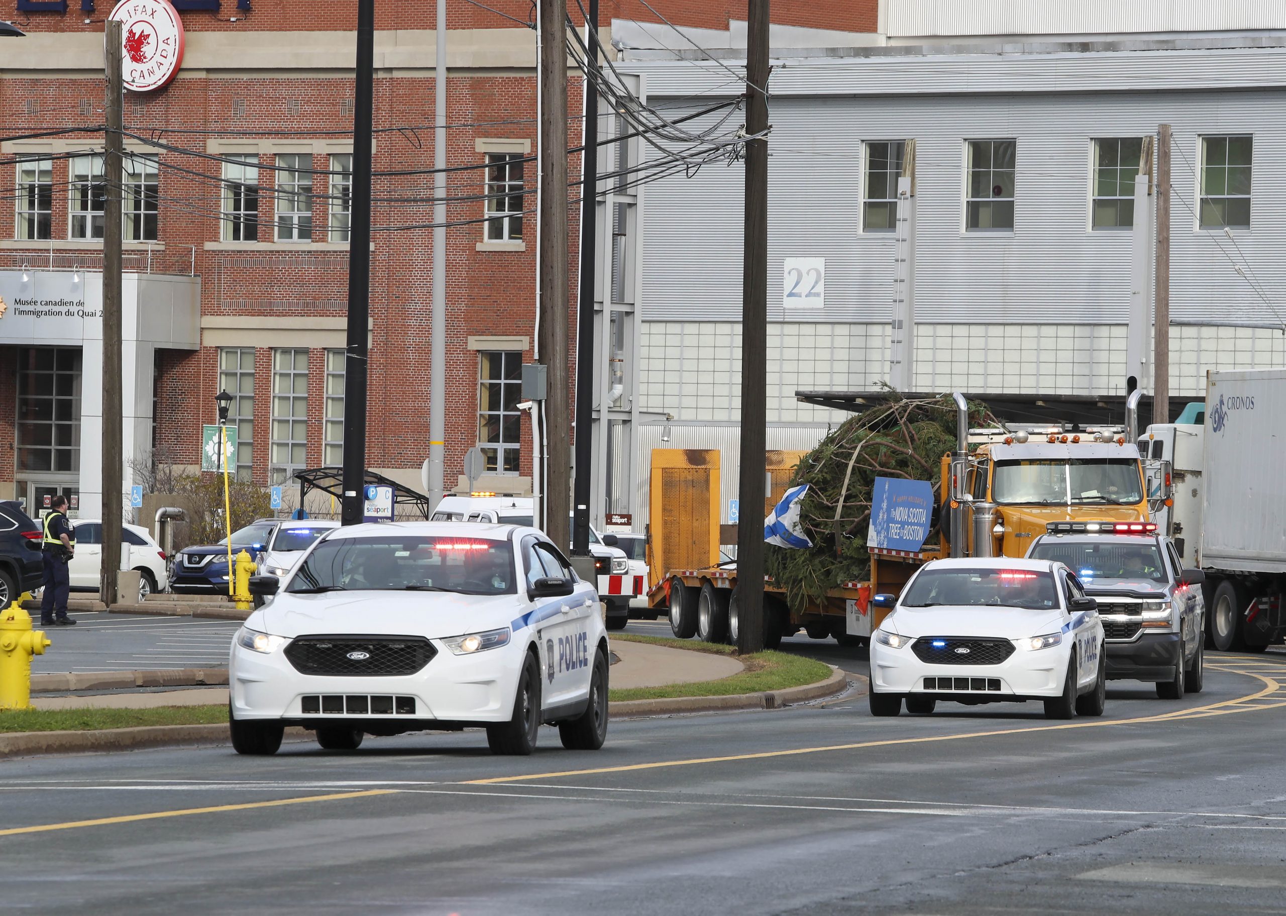 Richmond County Tree Sails to Boston