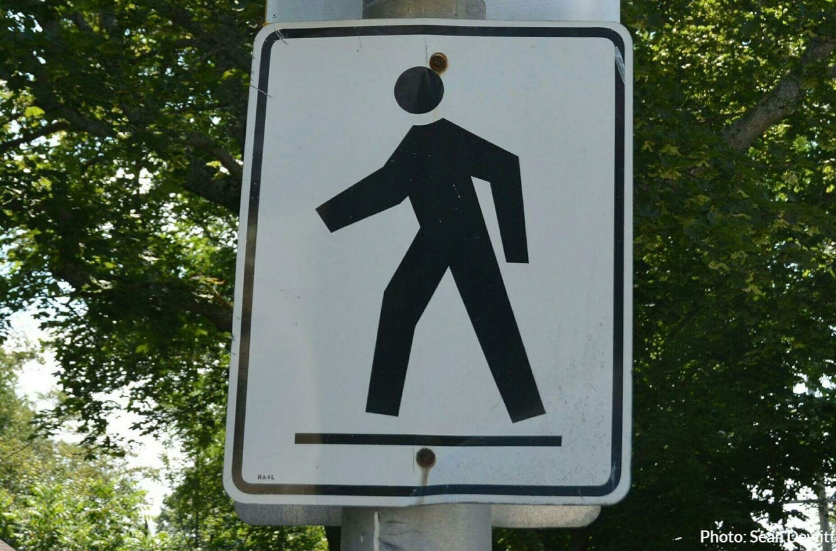 Police have charged the driver in a vehicle/pedestrian collision that occurred in the 600 block of Herring Cove Road.