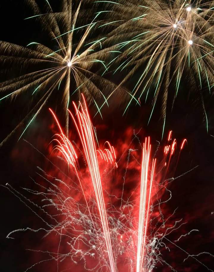 Annual New Year's Day Levée Cancelled