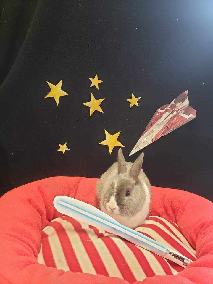 Not only is he a Jedi Master, he is a sweet bun and gifted in the ways of the force (of cuteness)