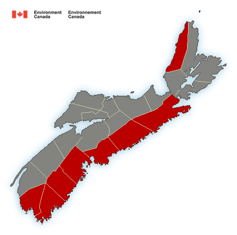 (ENDED) Rain and wind warnings have been issued via Environment Canada