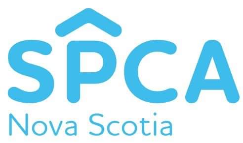 Halifax Man Charged with Animal Cruelty