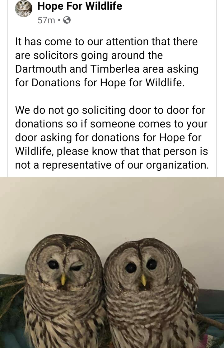 Scam:  Important message from Hope for Wildlife
