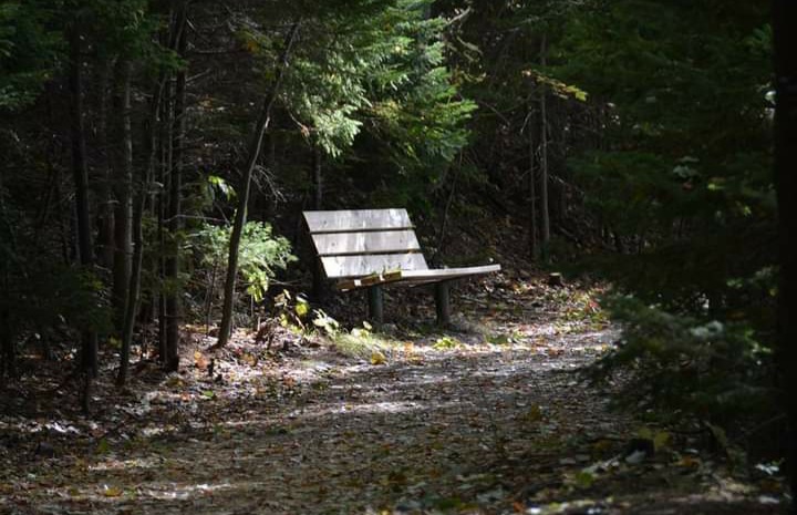 Response to COVID-19: Parks & Recreation Updates