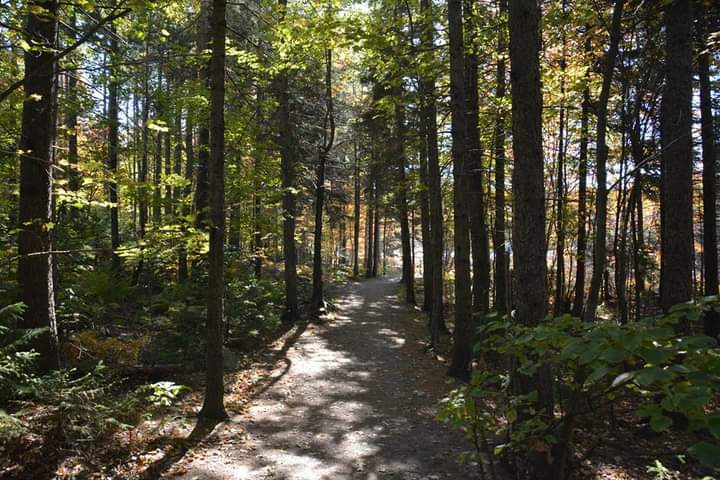 Response to COVID-19: Parks & Recreation Updates