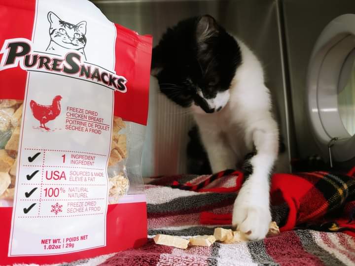 If you could help out Snookums and the other shelter kitties they would love donations of delicious feline treats