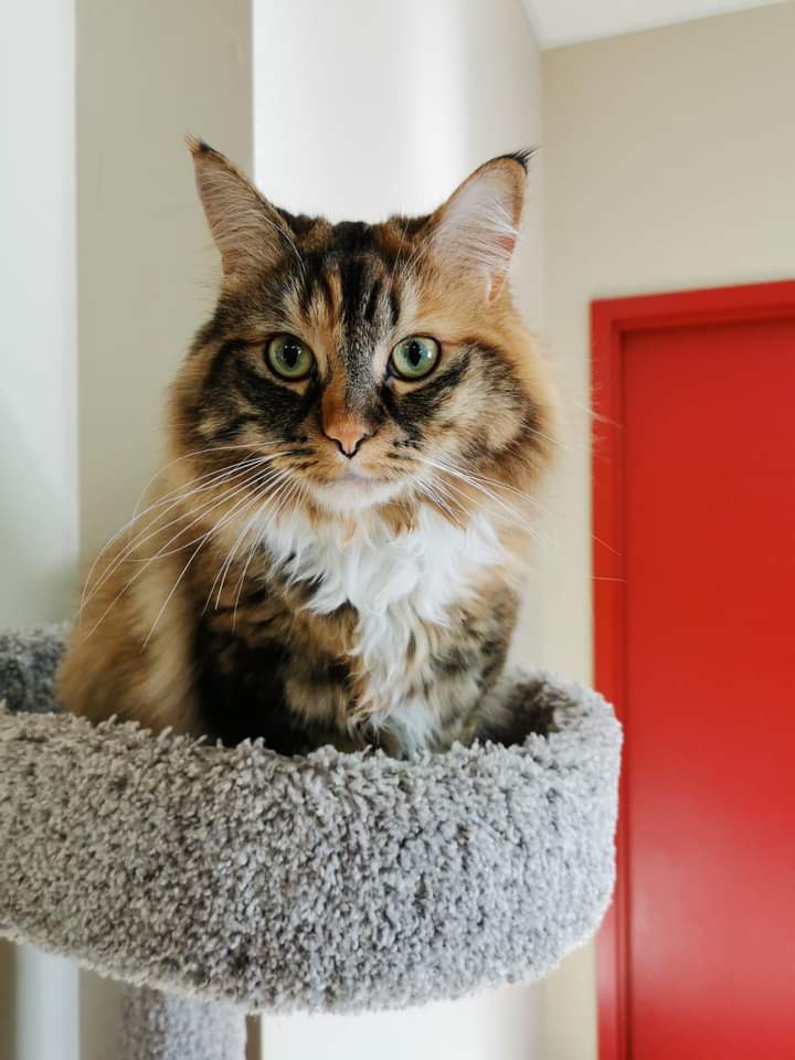Bide Awhile Featured adoptable!