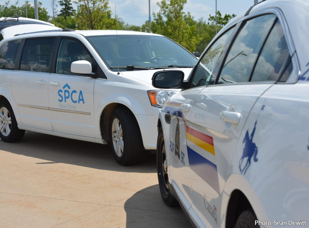 Halifax District RCMP recently rescued a dog in distress from a vehicle in Musquodoboit Harbour