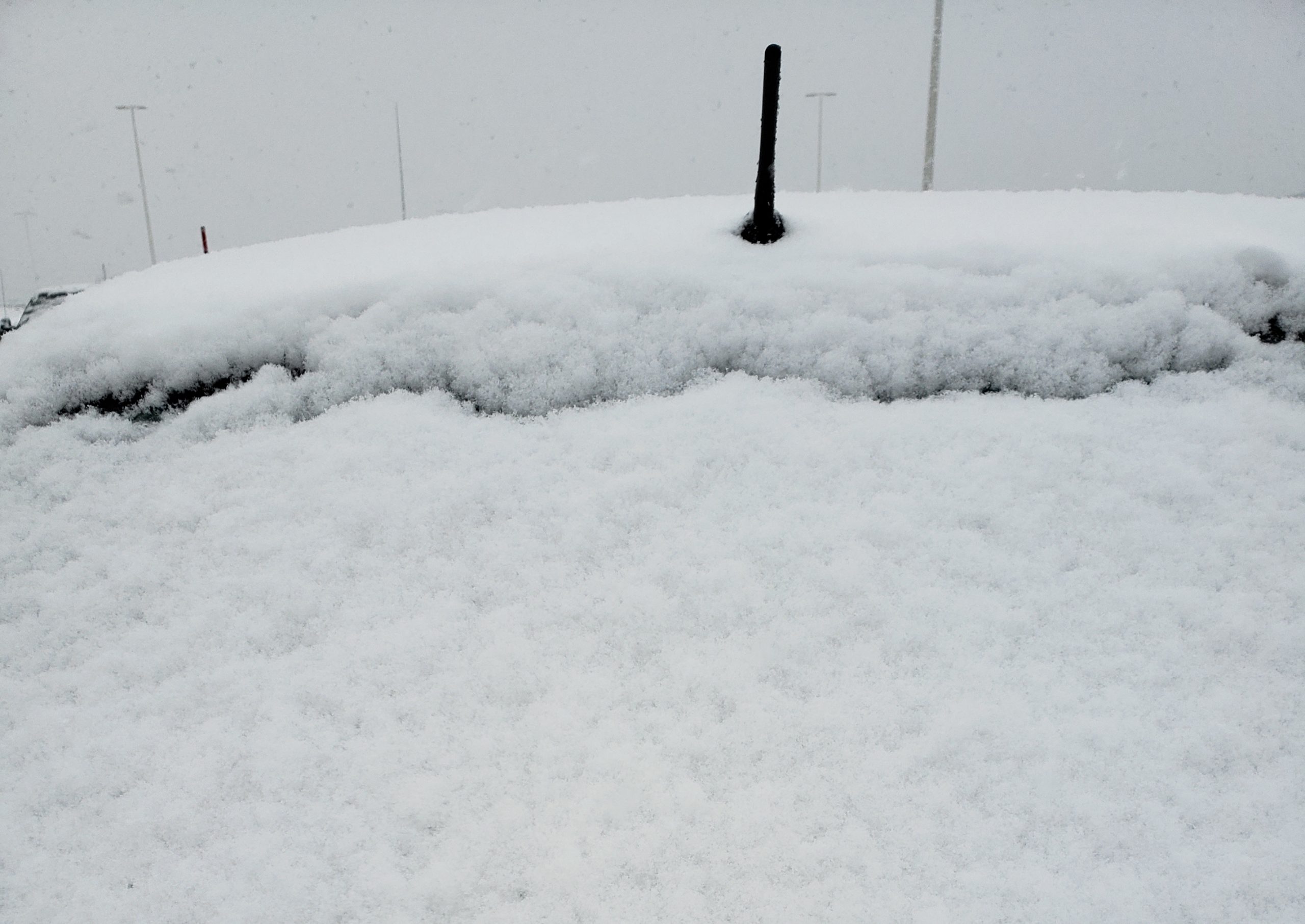 Municipal service updates for winter storm