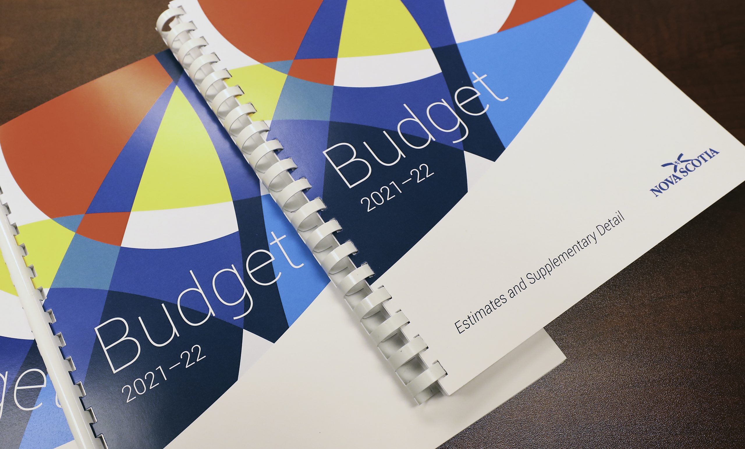 Government Releases Budget 2021-22