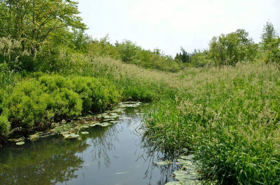 Changes to Biodiversity Act