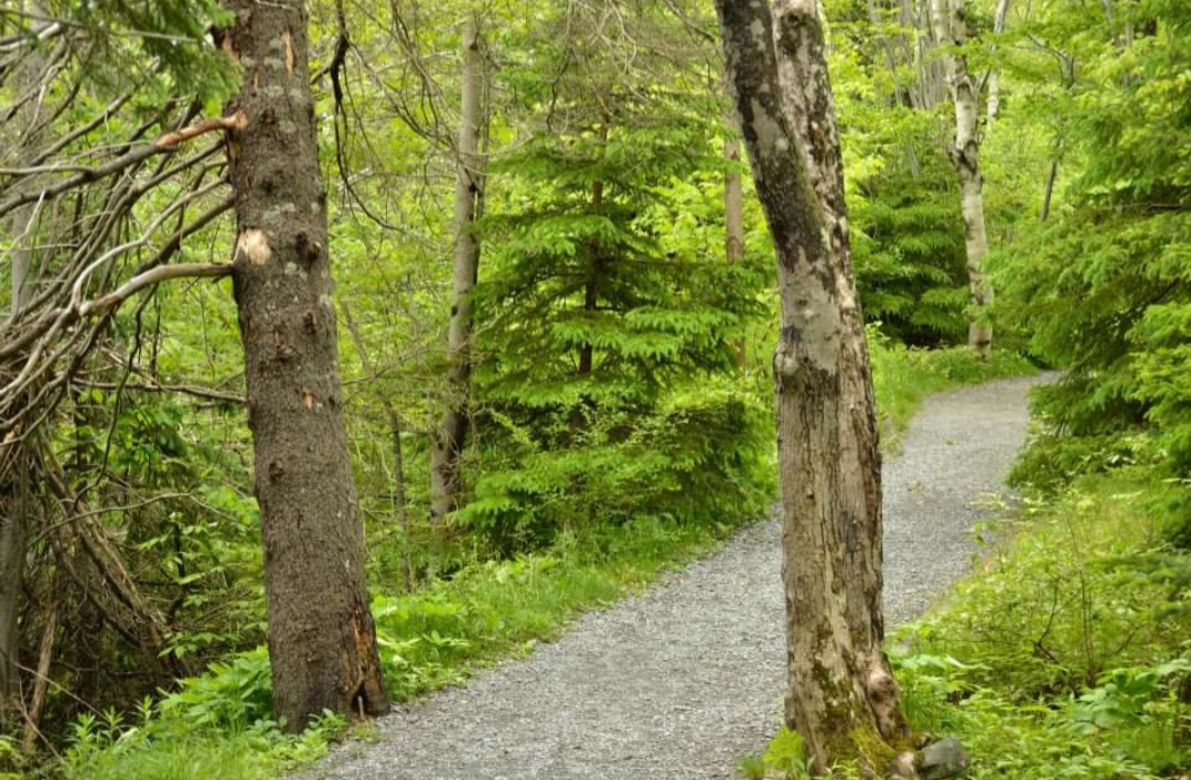 Park and trail safety tips