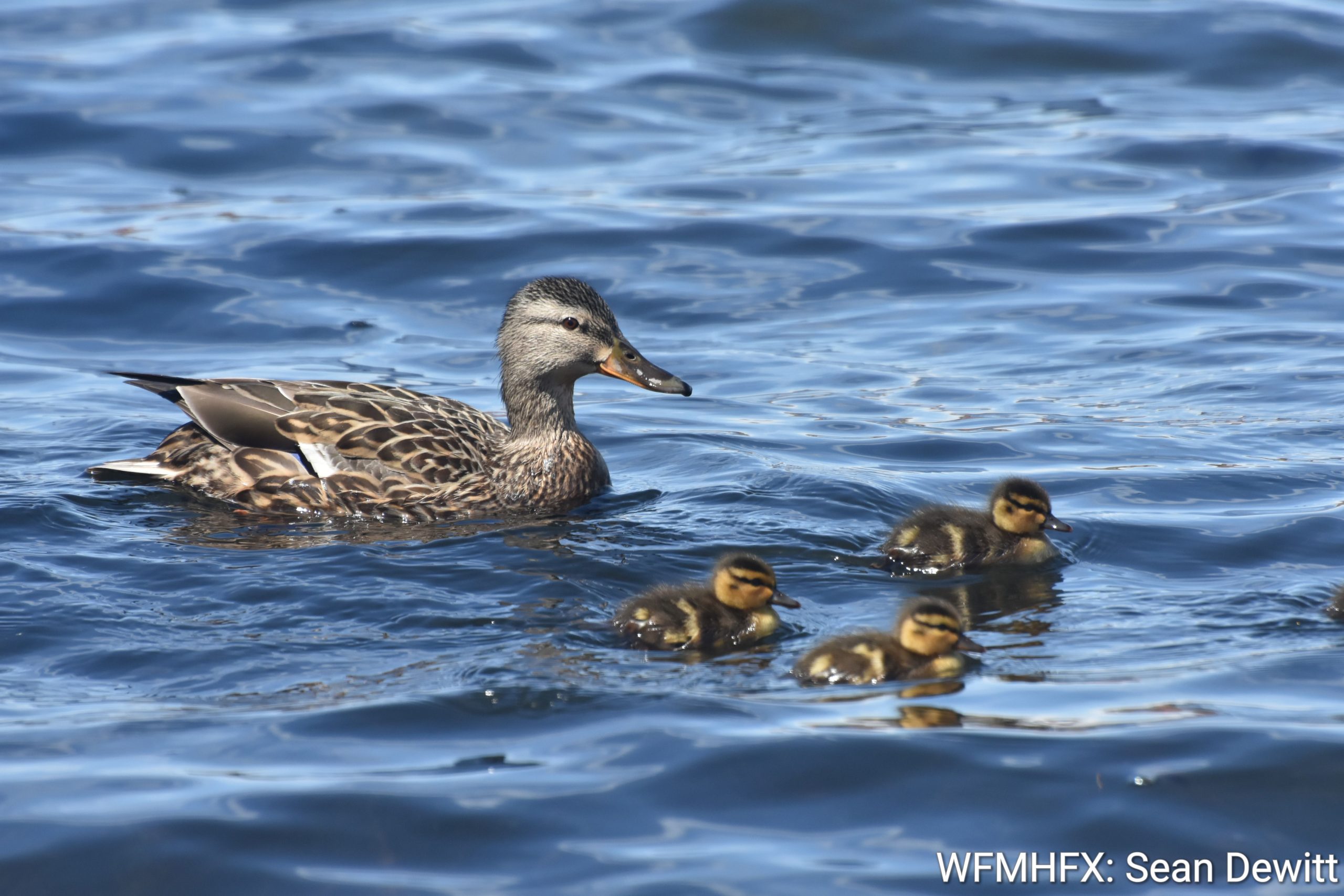 Happy Mother's Day!