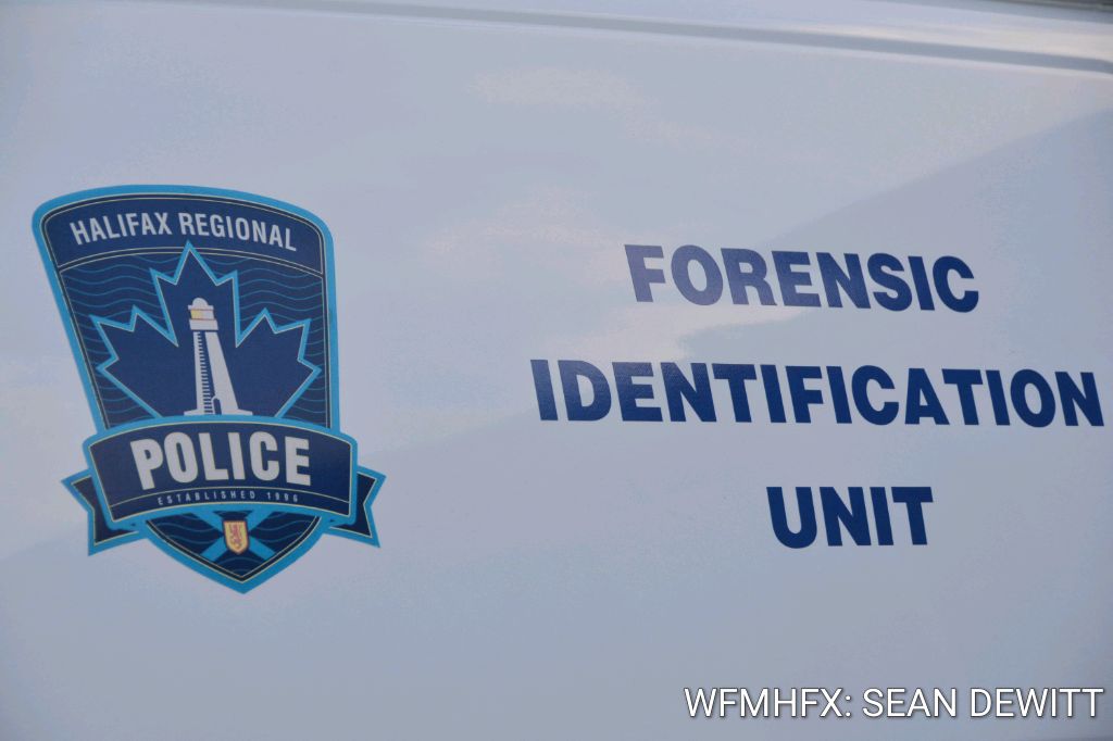 Police lay charges in child pornography and drug trafficking investigations