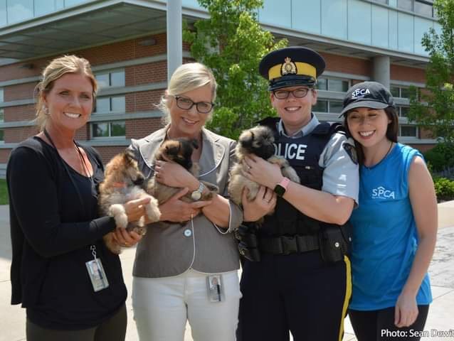 Think twice before leaving your children and pets in your vehicle this summer