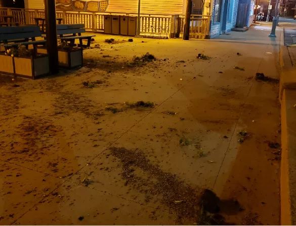 Help the RCMP solve assault and mischief