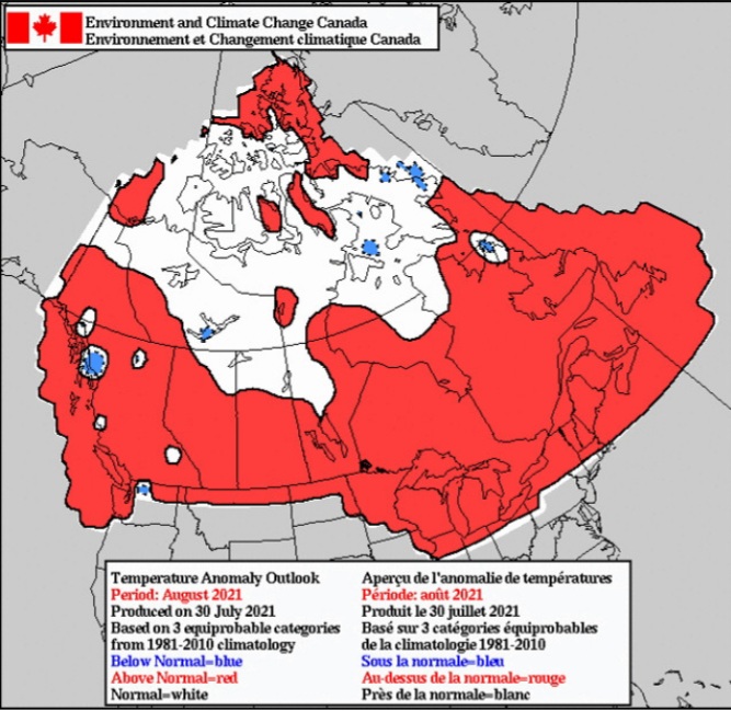 August Temperature Outlook