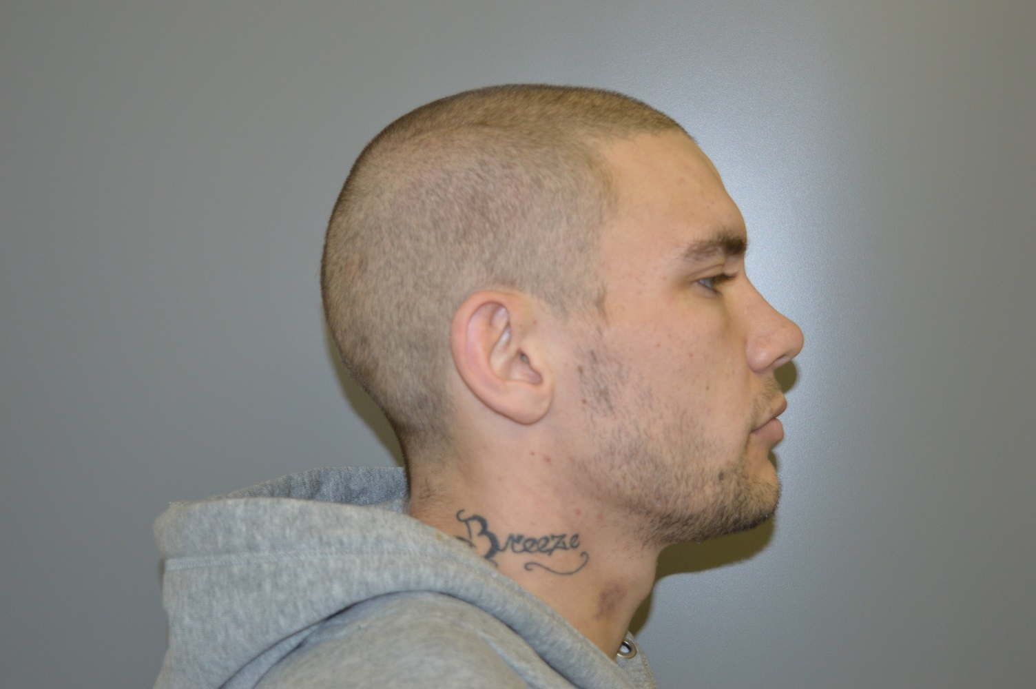 Halifax District RCMP investigate break-in and firearms theft