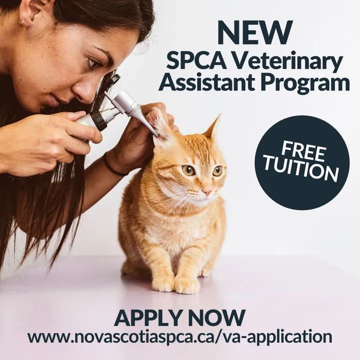 The SPCA College of Animal Welfare is offering FREE TUITION in their accelerated full-time, one-year Veterinary Assistant Diploma Program