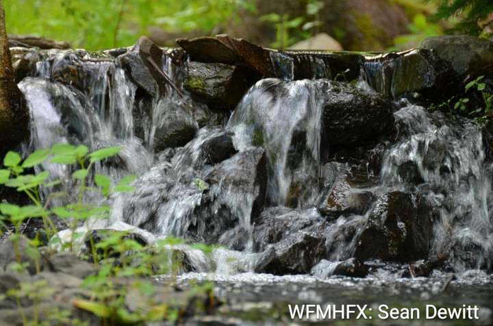 Statement regarding dish soap used at waterfalls