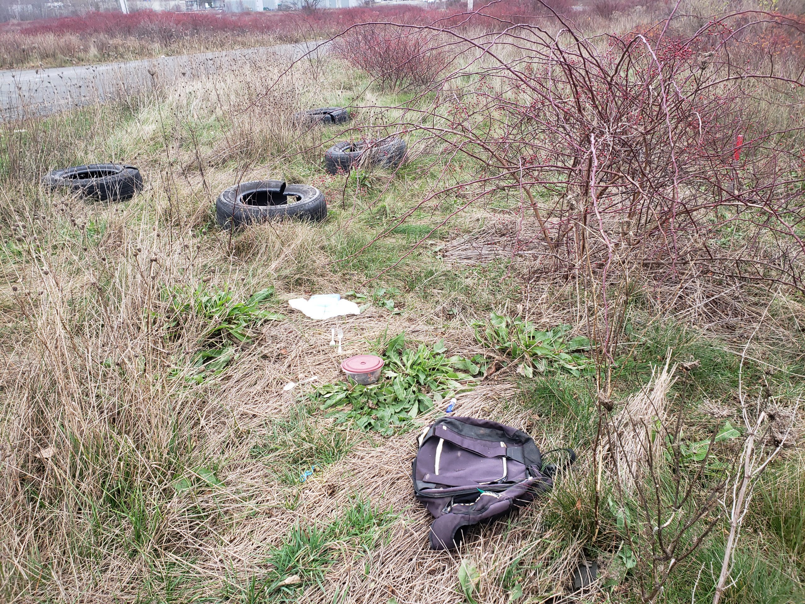 Municipality launches illegal dumping and anti-litter campaign