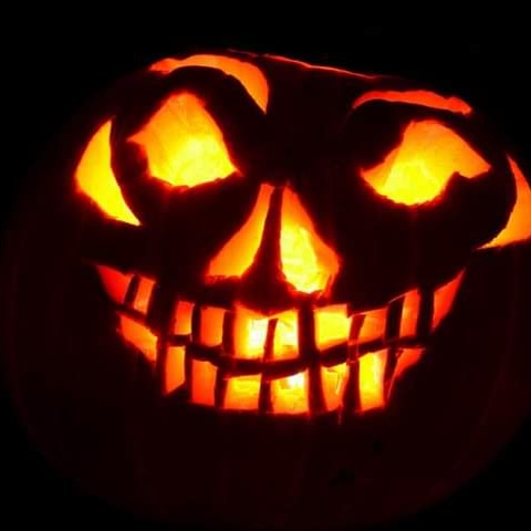That Halloween Pumpkin you carved is gonna get gross, fast.  Let Moo Nay Farms take care of it for you.