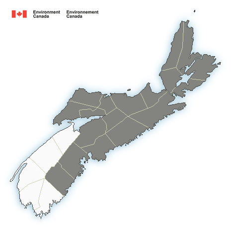 (ENDED) Special weather statement in effect